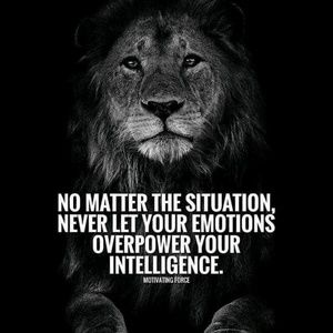 Meet your Posher, Yashica